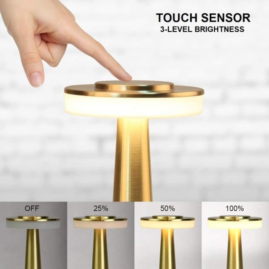 Metal LED Table Lamp with Touch Sensor Rechargeable Desk Lamp