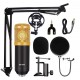 DM Condenser Microphone Bundle, BM-800 Mic Kit with V8 Live Sound Card Adjustable Mic Suspension Scissor Arm, Metal Shock Mount and Double-Layer Pop Filter for Studio Recording & Broadcasting
